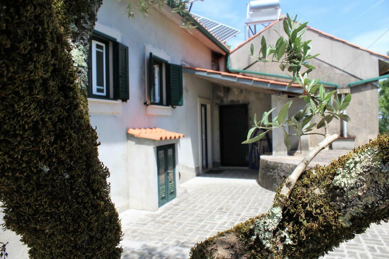 Casa Da Maria Moca Villa Fatima Ngoại thất bức ảnh
