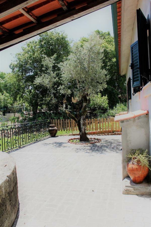 Casa Da Maria Moca Villa Fatima Ngoại thất bức ảnh